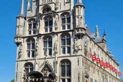 20220814_120620-scaled