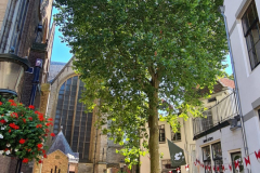 20220814_120842-scaled